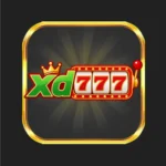 xd777 game